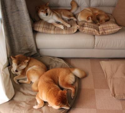 绿茵终极博弈,从伯纳乌的权杖到橄榄山的绝杀—论足球世界中的唯一性时刻