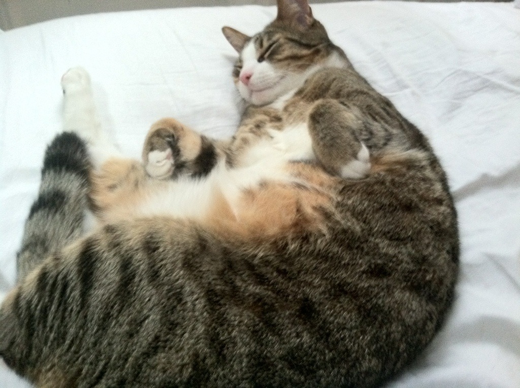 开云体育在线-绝境鹰羽撼费城，西亚卡姆逆天改命，老鹰捍卫主场硬仗取胜