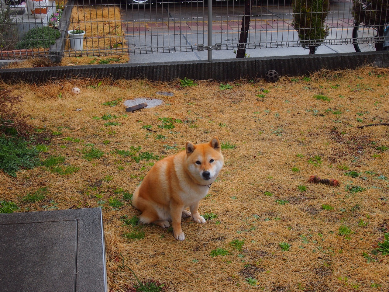 开云体育官网-当灯光聚焦于英雄，布雷默与他的不朽之夜