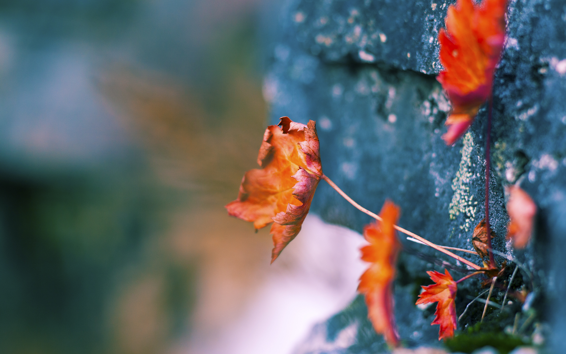NBA季后赛之夜,当无限收束在切特身上成为现实