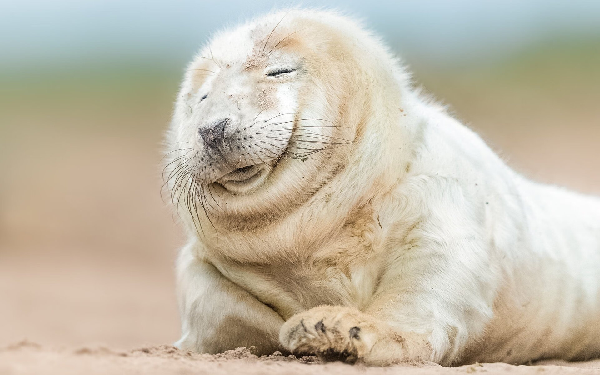 当戈贝尔扼住命运的咽喉，CBA上海队正用太阳的溃败讲述同一个暗面真理