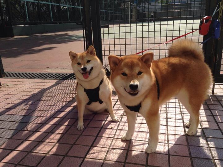 开云体育入口-独臂擎天，阿圭罗在几内亚最冷雨夜扛起一整片大陆的梦