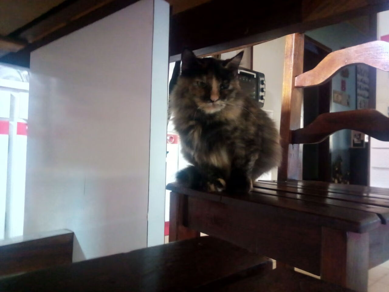 开云体育2026-半决赛日，当伯纳乌的焰火照亮迈阿密的联防迷雾