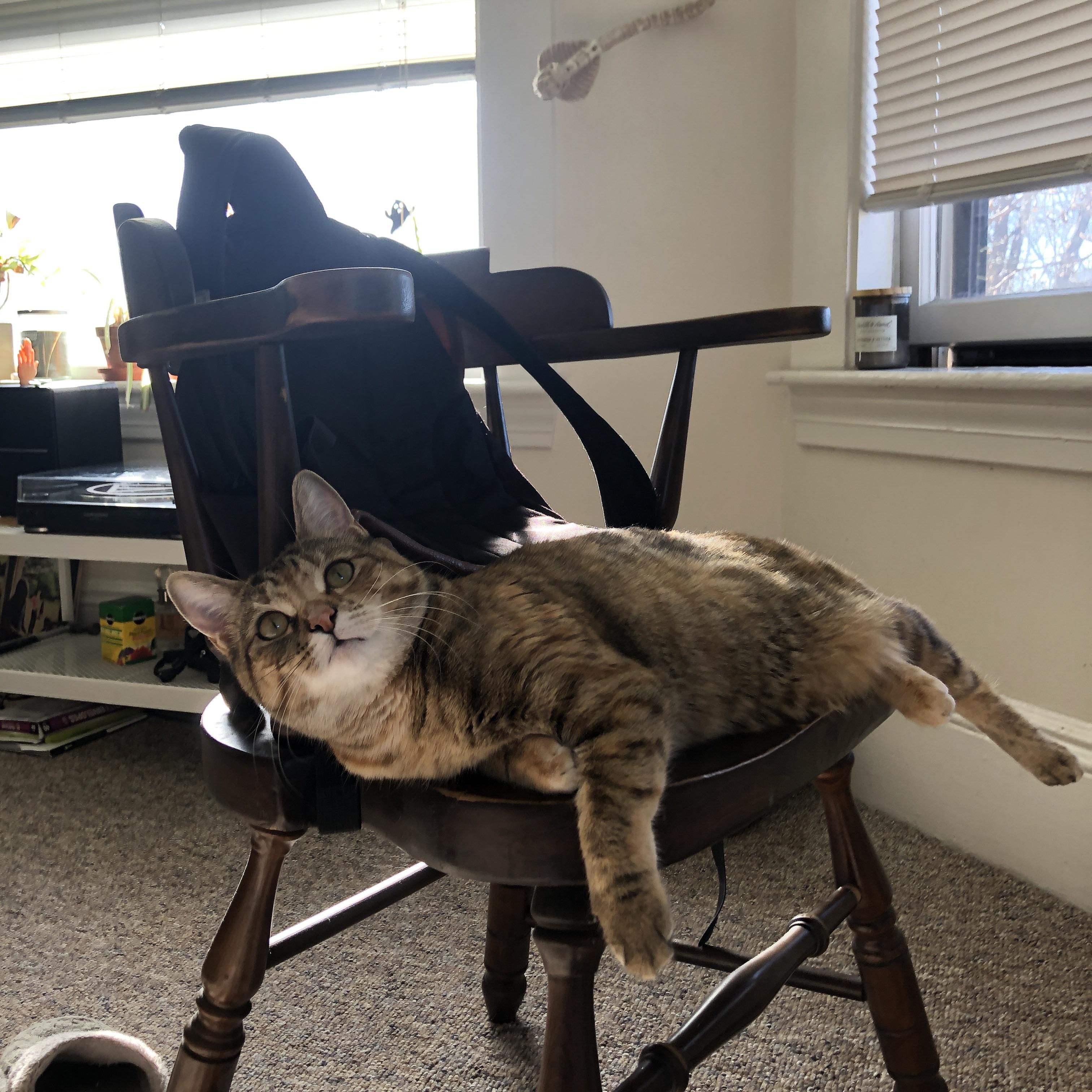 开云体育app-沙漠之鹰，绿茵之王，阿什拉夫·哈基米如何以墨西哥火力在欧冠之巅接管比赛