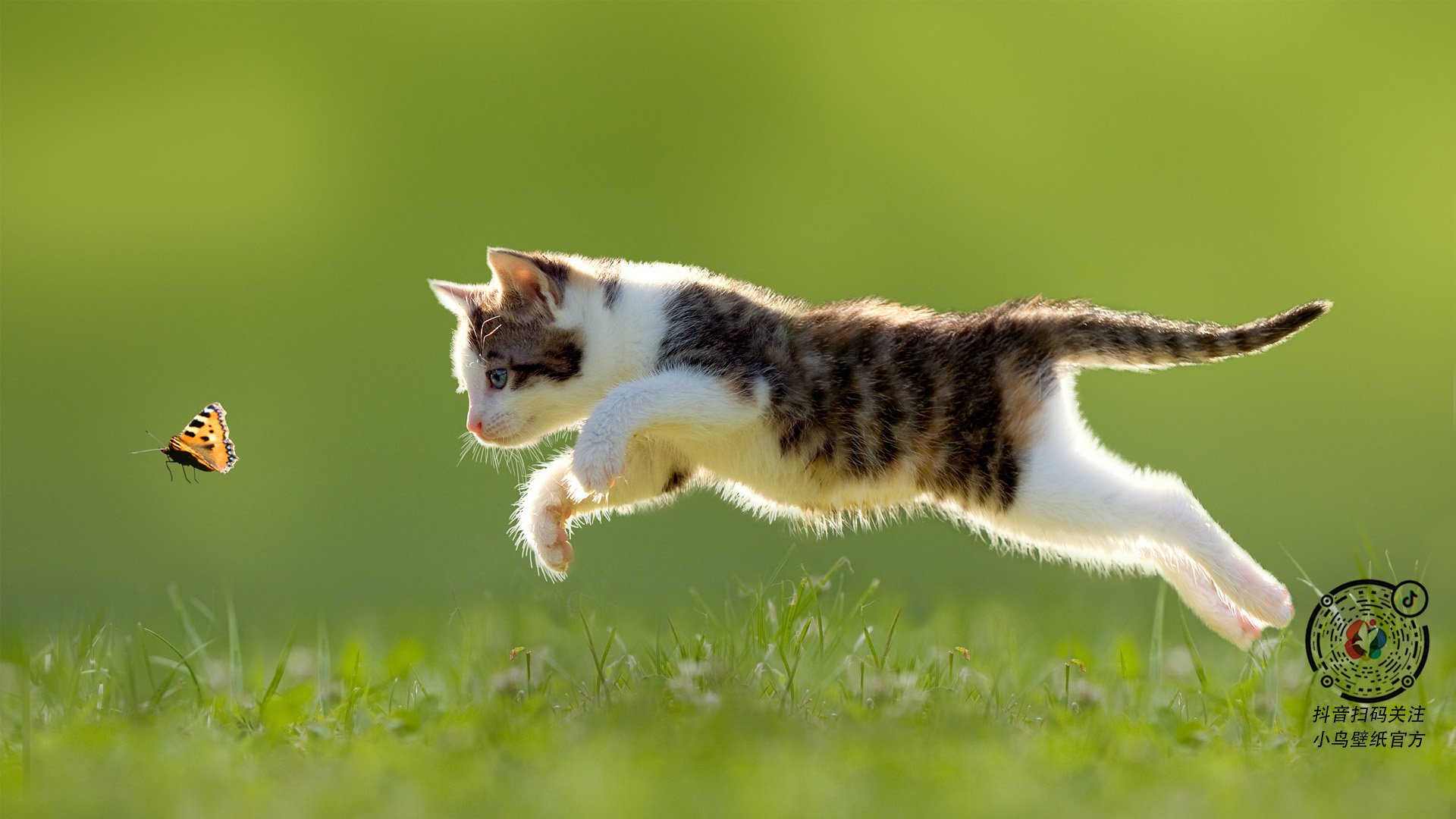 开云体育登录-竞技之夜的两种速度哲学，F1揭幕战与字母哥的攻防转换