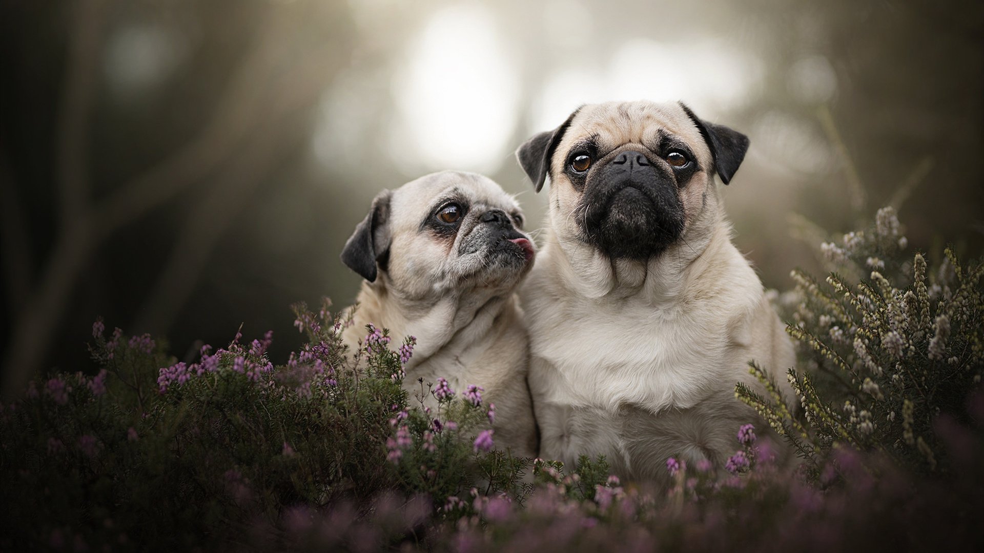 篮网最后时刻逆转76人，乔治末节爆发成关键先生