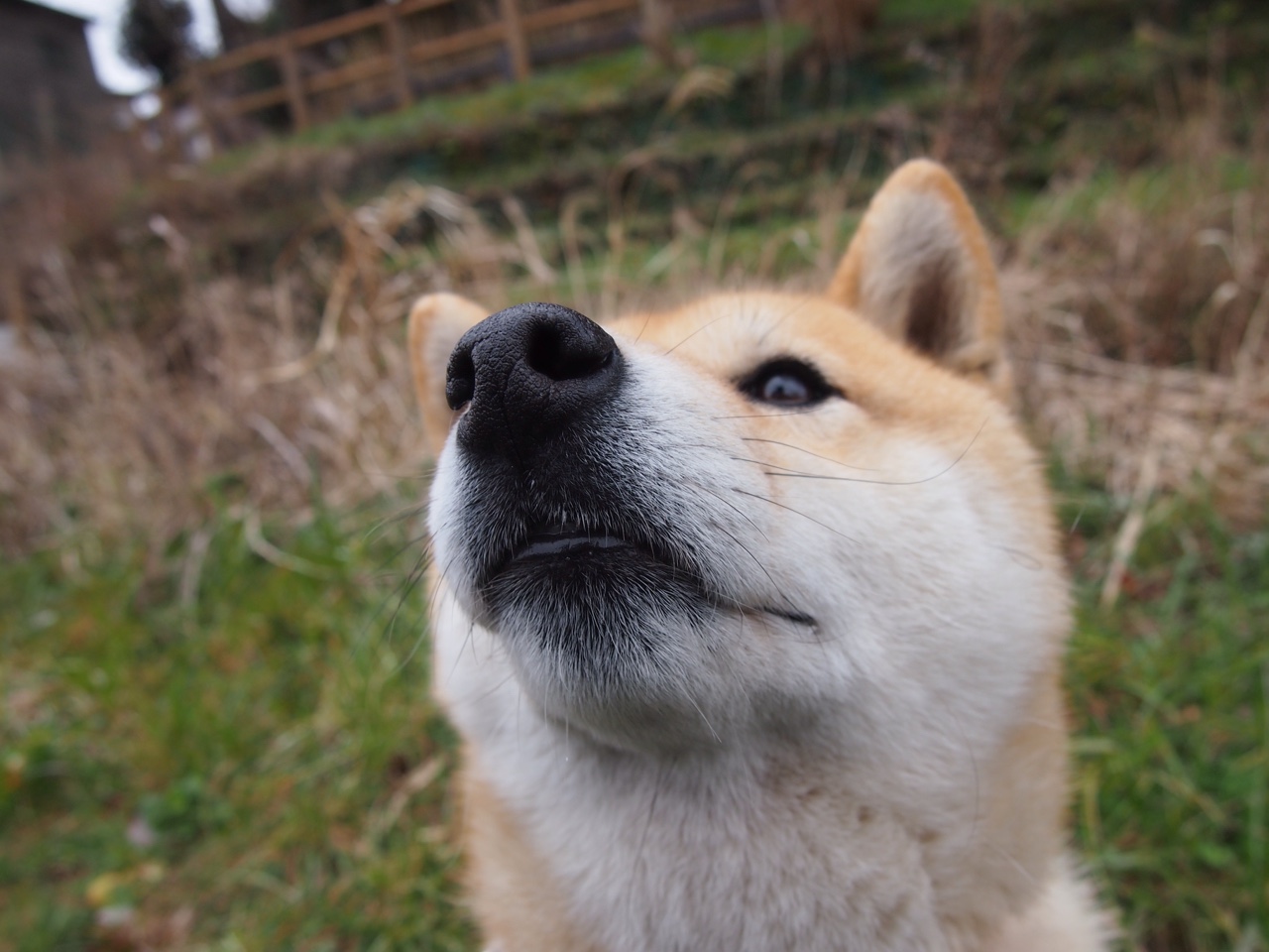 奥运关键战之夜,死神挥镰时,舞台越大他越强