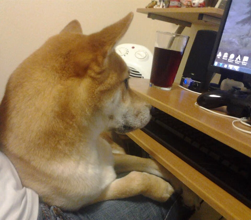 开云sport-16年磨一剑，总决赛夜，克里斯·保罗的大场面先生终极加冕