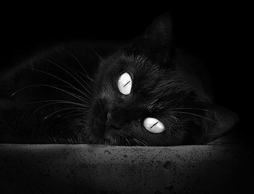 当阿圭罗用天赋改写纪录,克罗地亚用坚韧雕刻时光