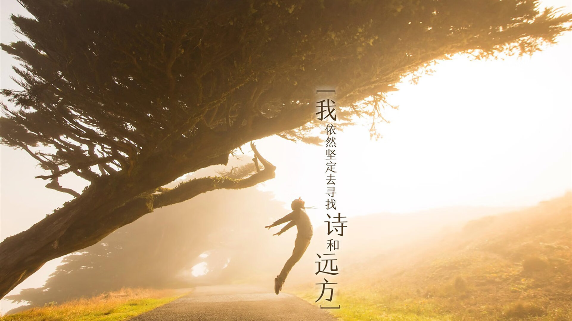 (扩展思维)